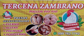 Tercena Zambrano