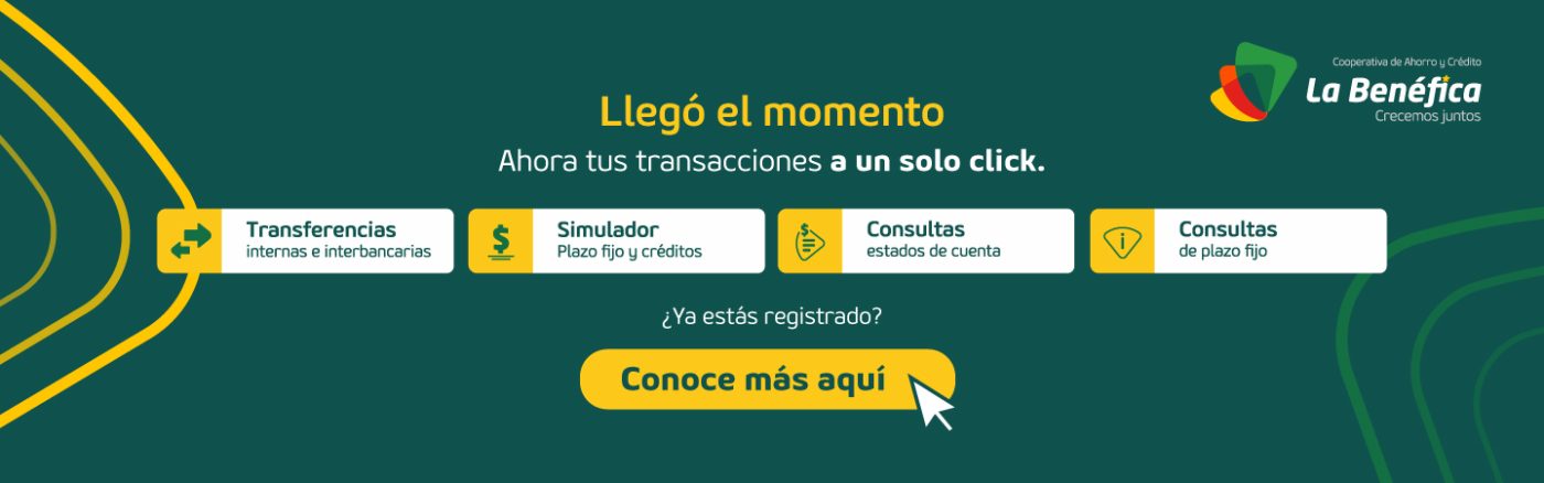 Nuestros Productos y Servicios
